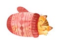ÃÂ¡at sleeps in a large mitten. Cute kitten Christmas character. Winter postcard.